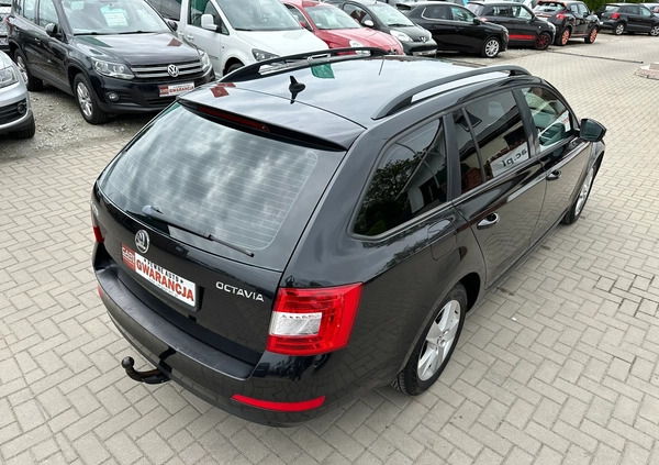 Skoda Octavia cena 36800 przebieg: 239000, rok produkcji 2014 z Grudziądz małe 667